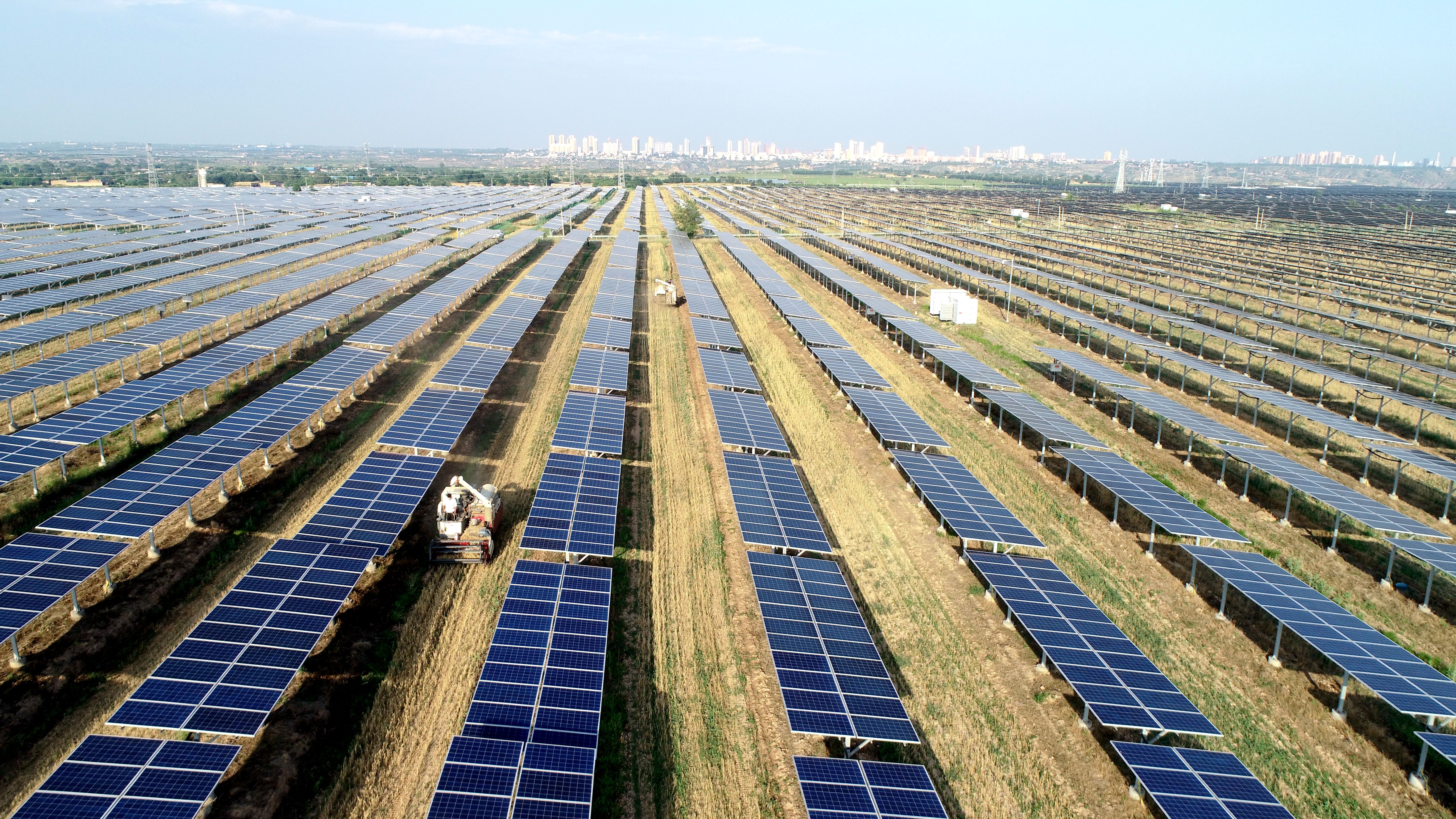 2.大唐澄城安里10萬千瓦農(nóng)光互補(bǔ)光伏電站采取“農(nóng)光互補(bǔ)”模式，不僅大大提高土地綜合利用率，還帶動(dòng)當(dāng)?shù)卮迕裨诩议T口就業(yè)，促進(jìn)農(nóng)民增收。任永紅攝 .jpg