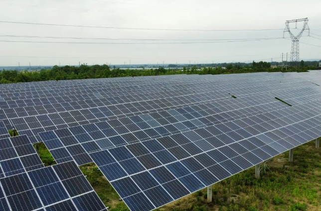 1688344950008051163.png 55.png